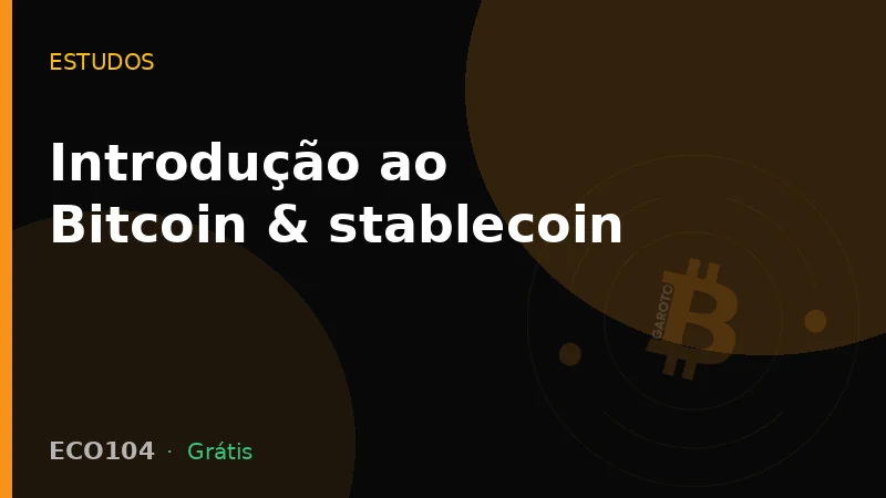 Introdução ao Bitcoin & stablecoin
